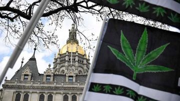 Connecticut se convierte en el decimonoveno estado en legalizar la marihuana. &iquest;Cu&aacute;ndo entra en vigor la ley y en qu&eacute; consiste? Aqu&iacute; los detalles.